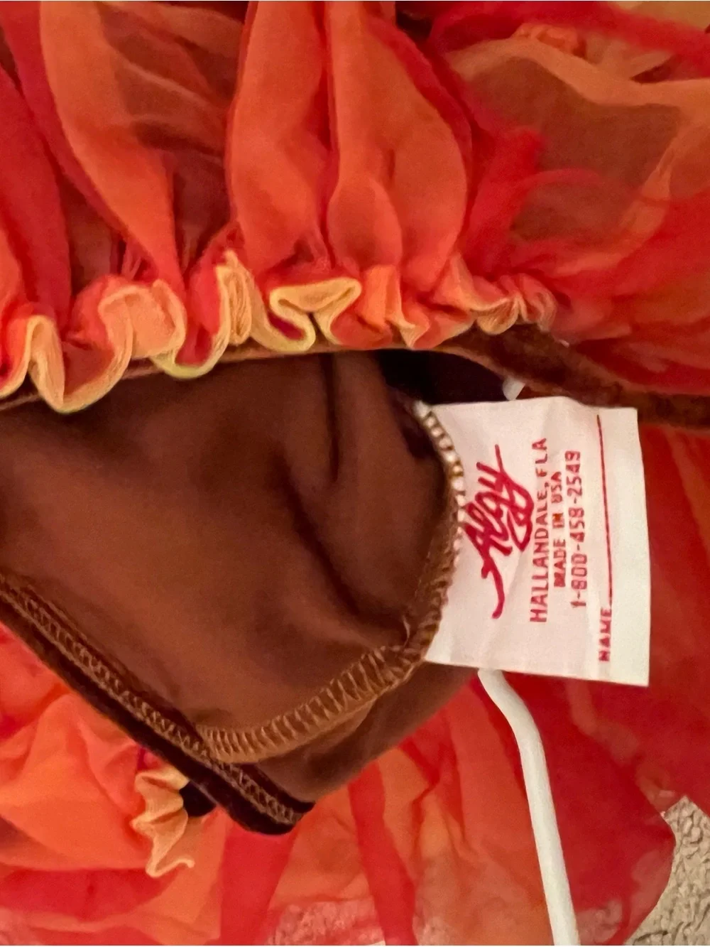 Source Unknown Red and Orange Flame Tulle Costume Dress